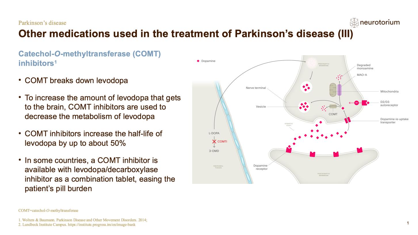 Parkinsons Disease – Treatment-Principles – slide 10